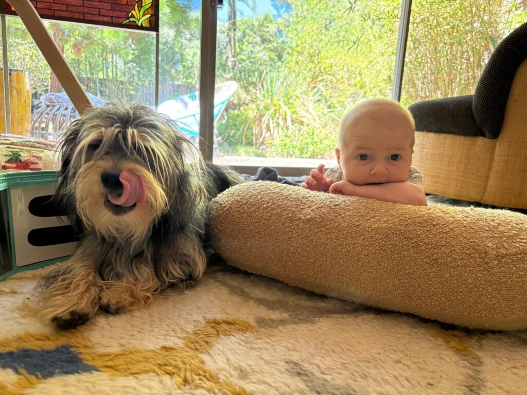 cab26a13 2844 4625 b9ef c51ecef57d56 cab26a13 2844 4625 b9ef c51ecef57d56